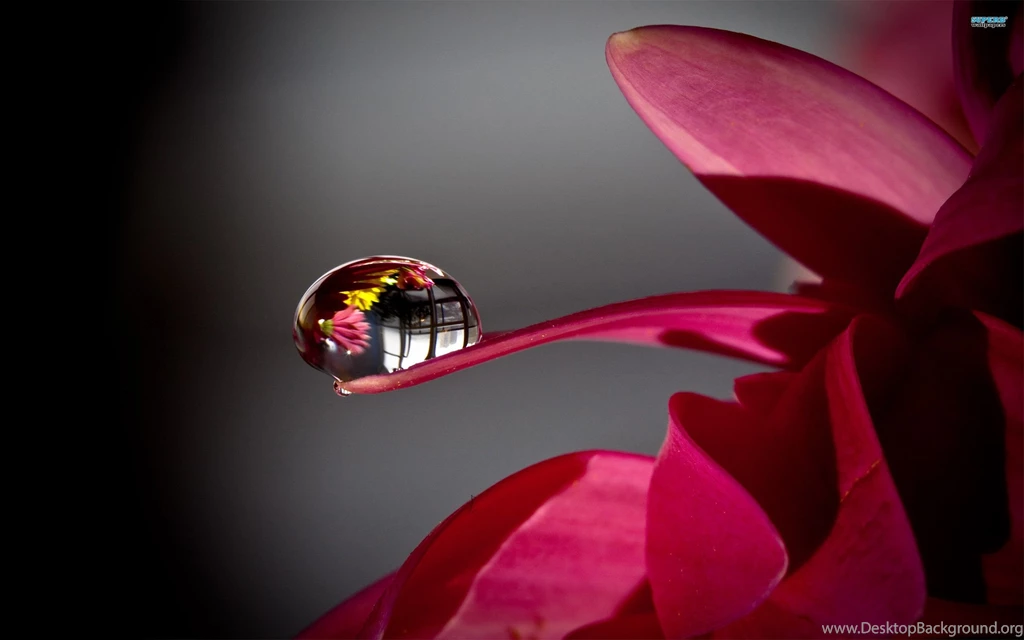 Water Droplets Wallpapers   Wallpapers Cave