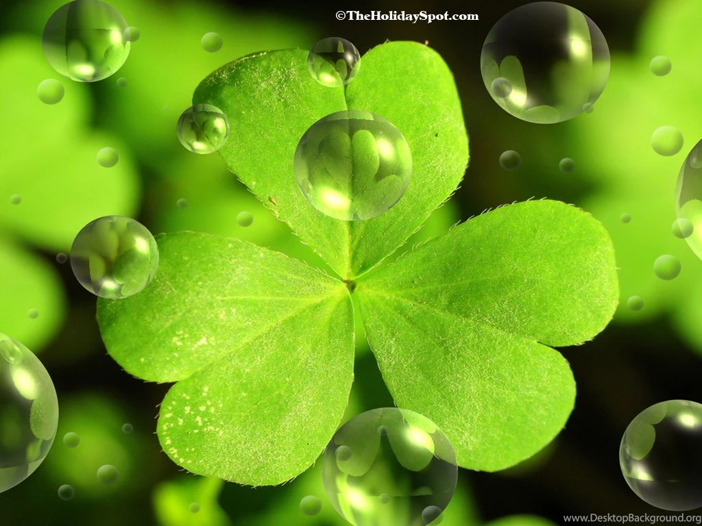 St Patrick Pictures Free Wallpapers HD Base