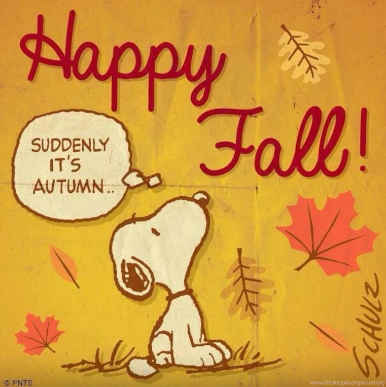 Autumn Charlie Brown Quotes. QuotesGram