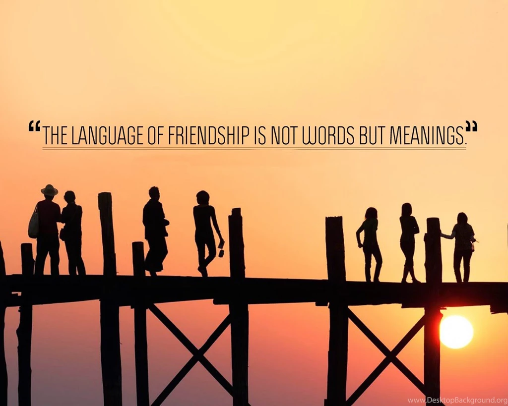 25+ Lovely Friendship Quotes
