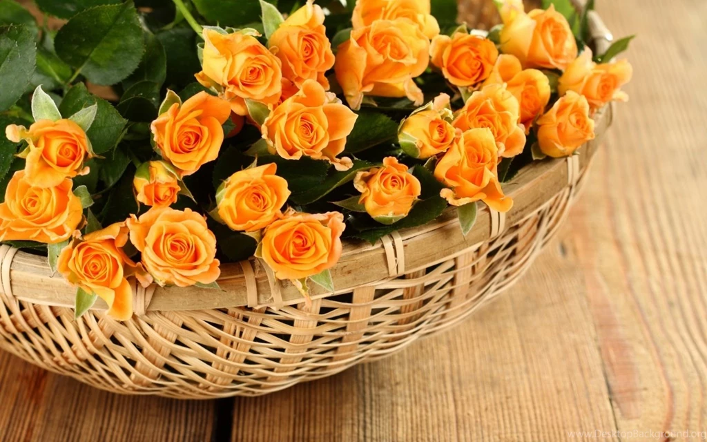 Orange Roses Basket HD Wallpapers