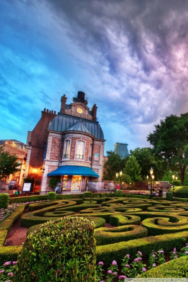 Disney World At Sunset Wallpapers