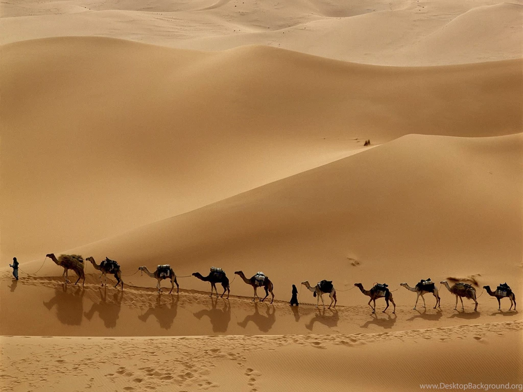 Desert Backgrounds Wallpapers