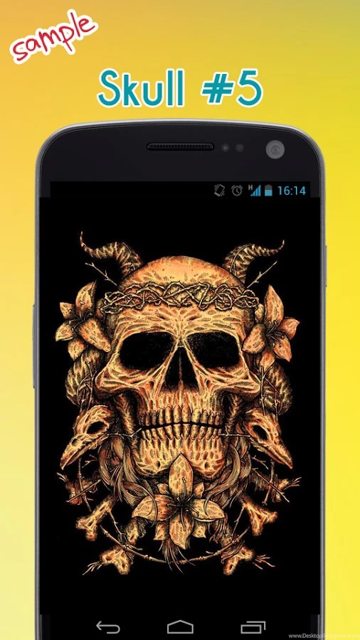 Amazing Skull Wallpapers Android Apps On Google Play