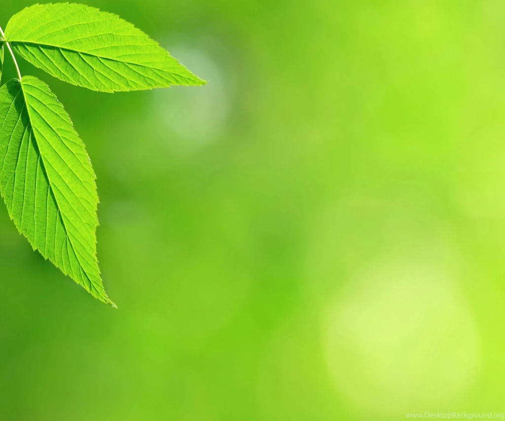 Nexus 4 Wallpapers HD   Beautiful, Stunning Wallpapers