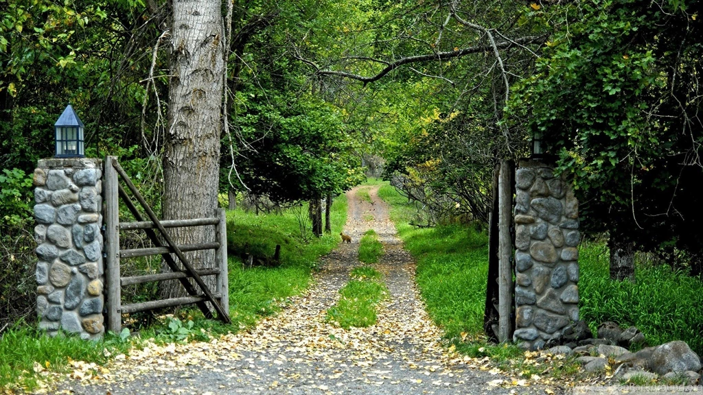 Download Nature Scenes 23 Wallpapers 1920x1080