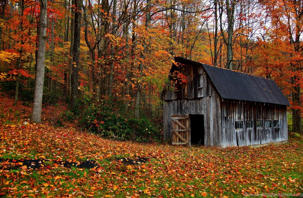 Country Barn Scenes Images