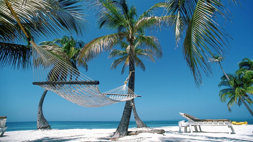 Summer Holiday Hammock On A Beach With Palm