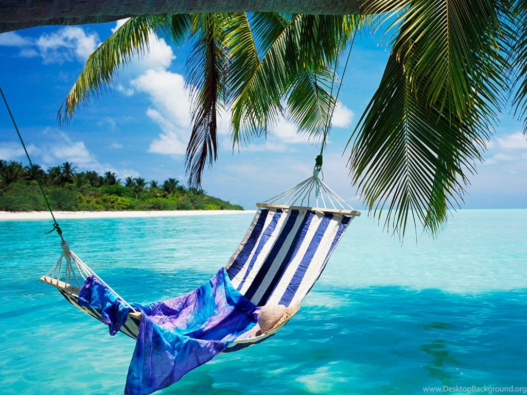 Beach Hammock Pictures   Wallpapers HD Fine