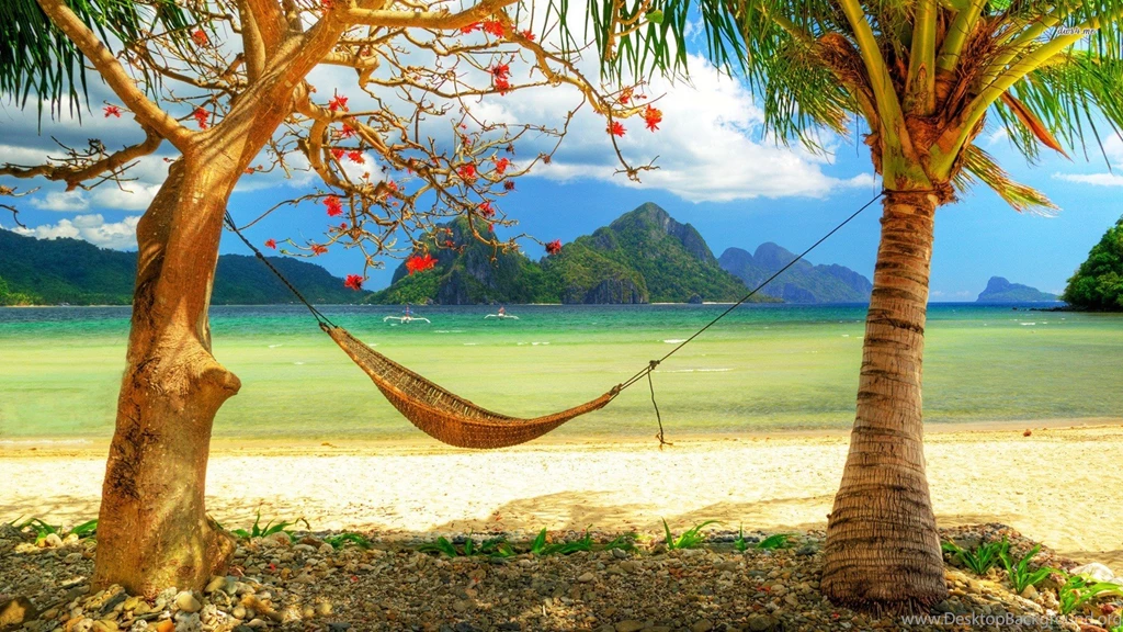 Wallpapers For Hammock Pictures » Resolution 2560x1600px