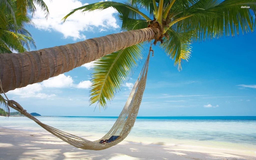 Hammock Wallpapers   Full HD Wallpapers Search