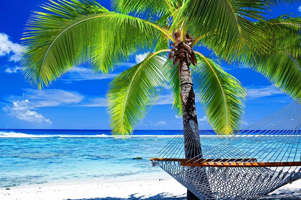 Beach Hammock (