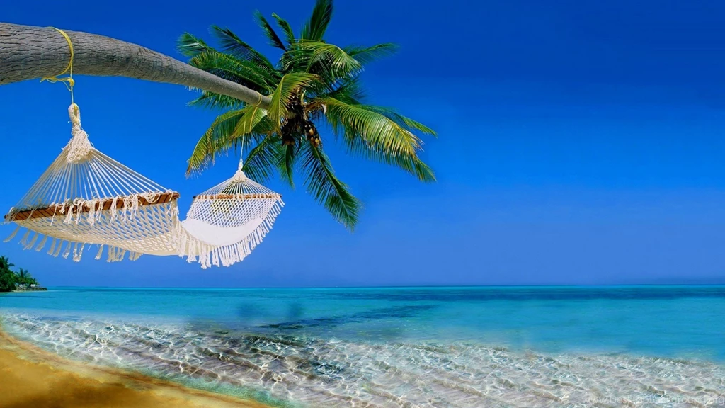 B3B09B Color Wallpapers: Beach Hammock Palms Sea Shore Ocean Palm ...