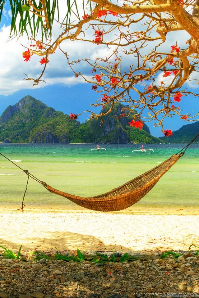 Download Tropical Beach Hammock Wallpapers Wallpapers For iPhone 4