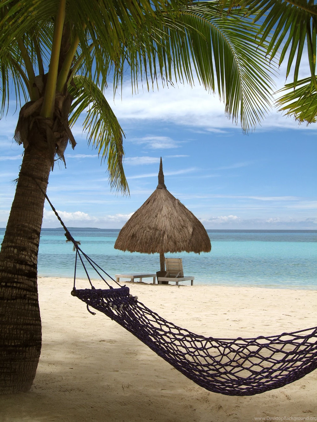 Palm Tree Hammock Beach Thatch Umbrella 52295 Beach Photo ...
