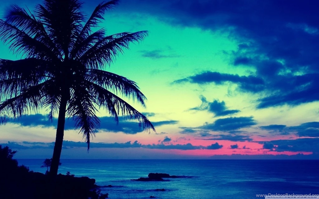 Tropical Sunrise HD Desktop Wallpapers : High Definition ...