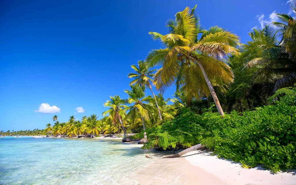 Tropical Beach Landscape Wallpapers HD Best Collection