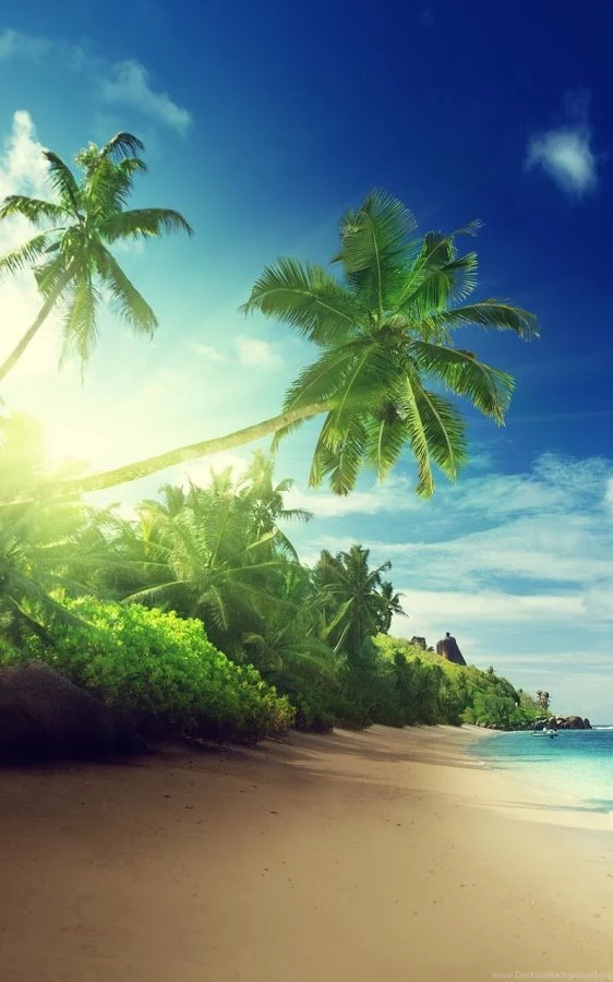 Tropical Beach Live Wallpapers   Android Apps On Google Play