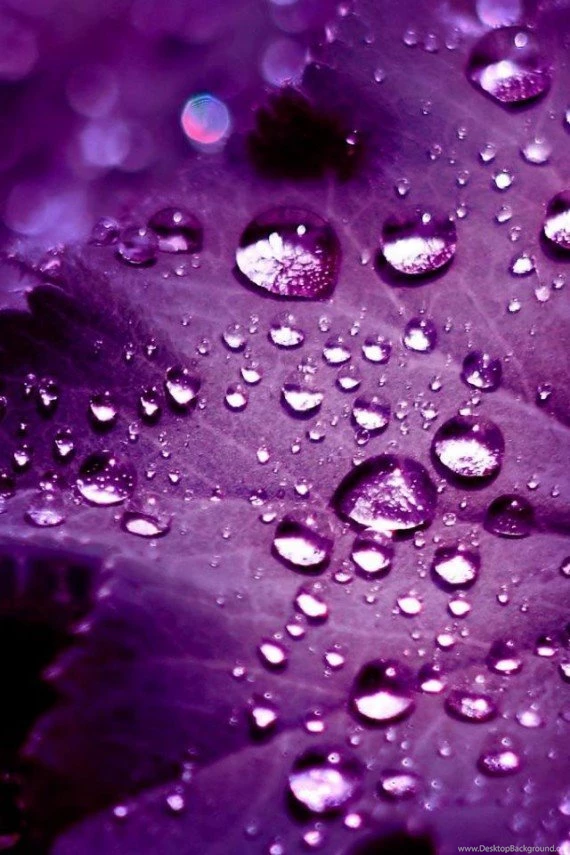 Hd Wallpapers For Iphone 4 Mobile Styles