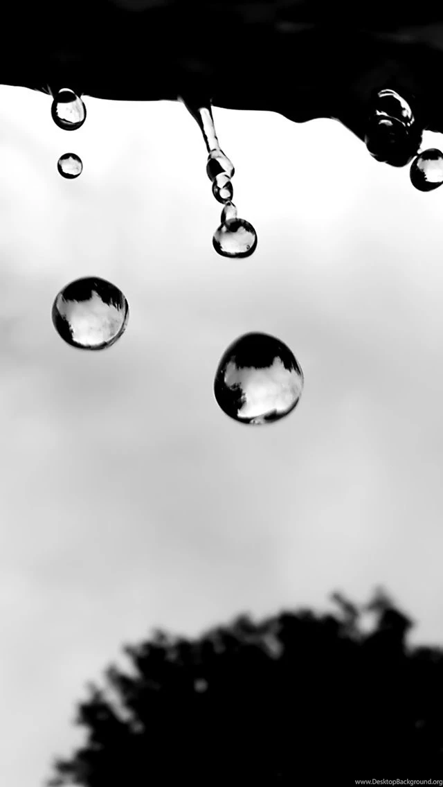Raindrops 3 iPhone 5s Wallpapers Download