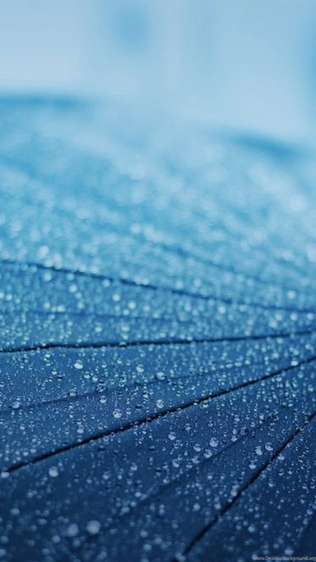 Raindrop Wallpapers Free iPhone Wallpapers