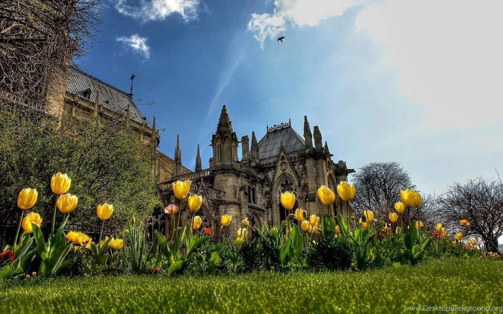 Yellow Tulips Near Castle HD Desktop Wallpapers