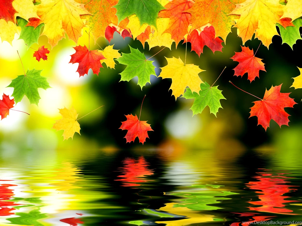 Autumn Leaves Desktop Backgrounds Wallpapers For Widescreen ...