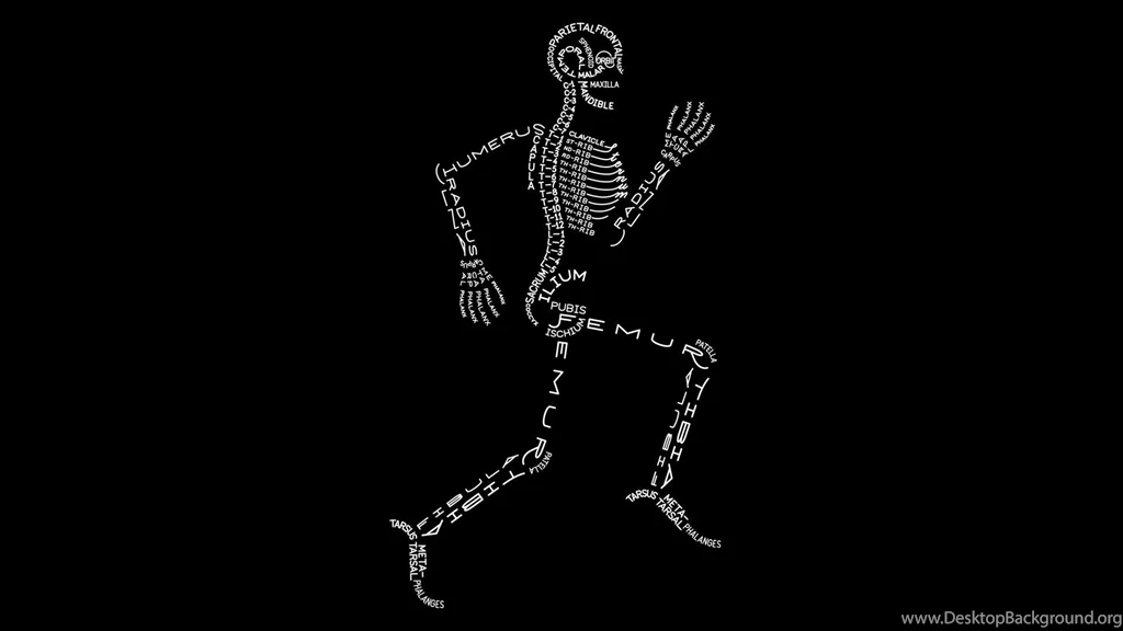 Simple Skeleton Typography HD Wallpapers, Desktop Backgrounds ...