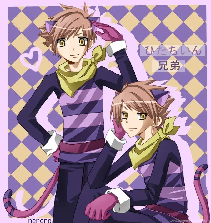 Hitachiin Twins Cheshire By Neneno On DeviantArt