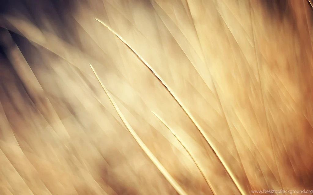 Beige Wallpapers
