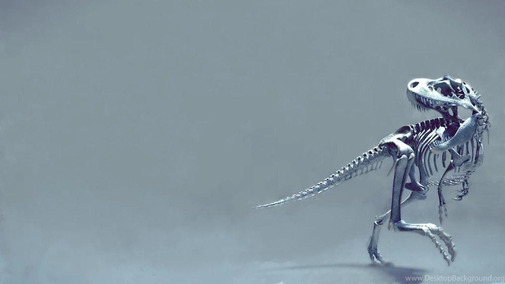 Cute Skeleton Wallpapers High Definition : Other Wallpapers Kokean.com