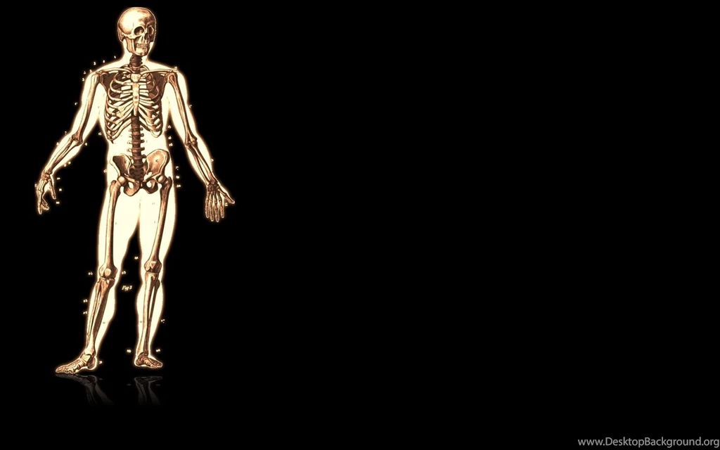 Skeleton Wallpapers Wallpapers Cave