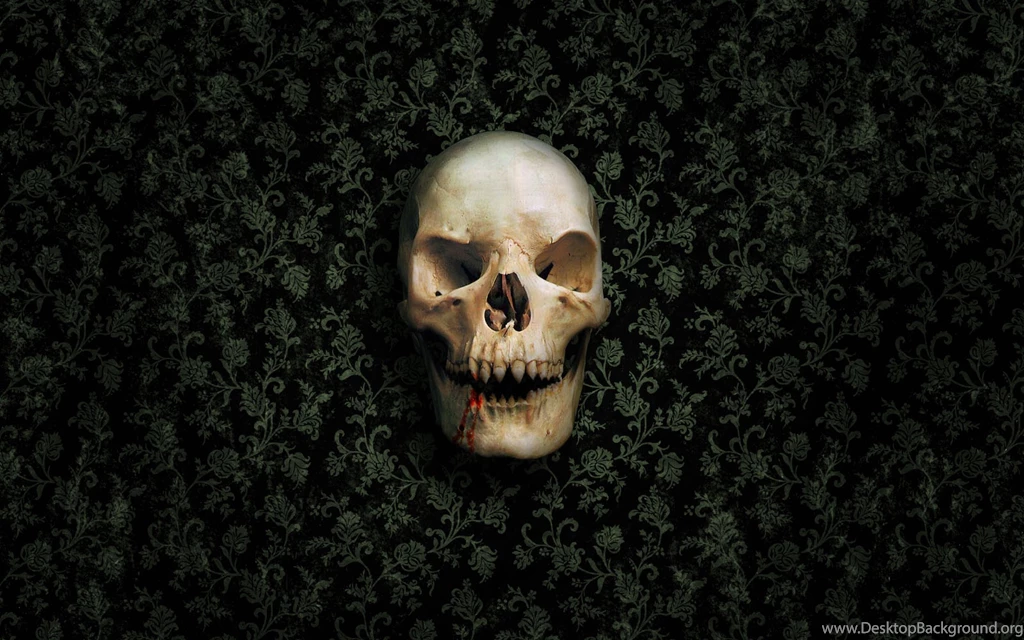 Page 2: Ultra HD 4K Skeleton Wallpapers HD, Desktop Backgrounds ...