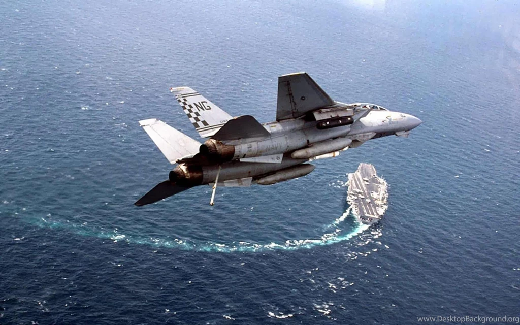 Art Pictures: Grumman F 14 Tomcat Wallpapers