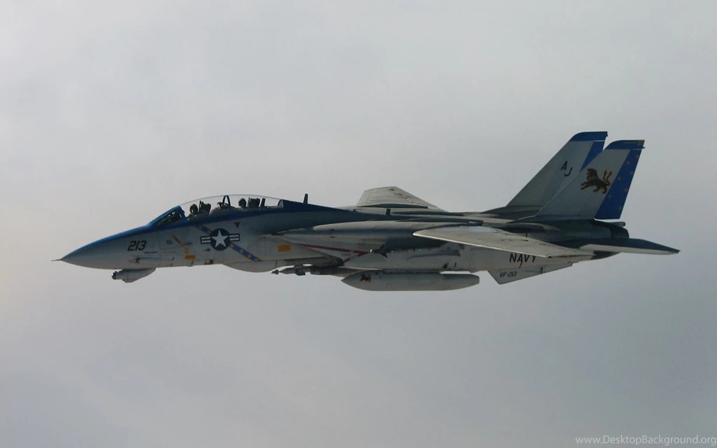 Art Pictures: Grumman F 14 Tomcat Wallpapers