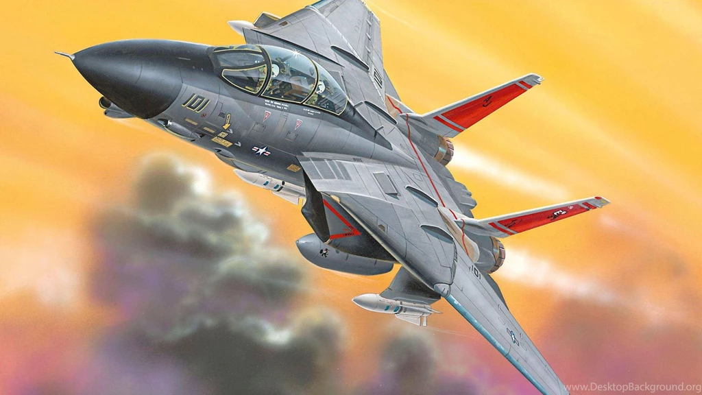 Grumman F 14 Tomcat Wallpapers HD Download