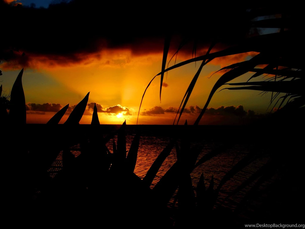 Winter Sunset South Pacific Style >> HD Wallpaper, Get It Now!