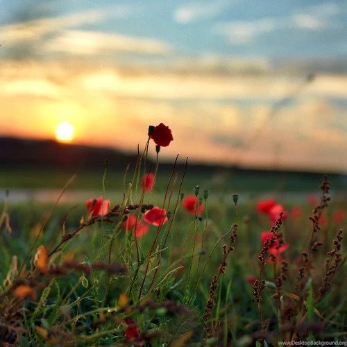 Nature Wallpapers In Hd