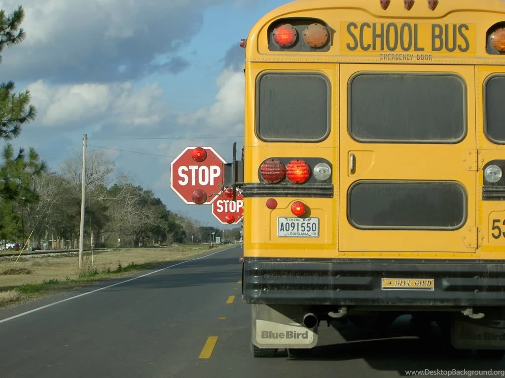 School Buses