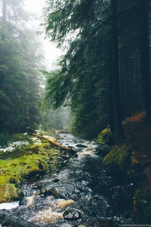 Image Via We Heart It Https://weheartit.com/entry/165946030 ...