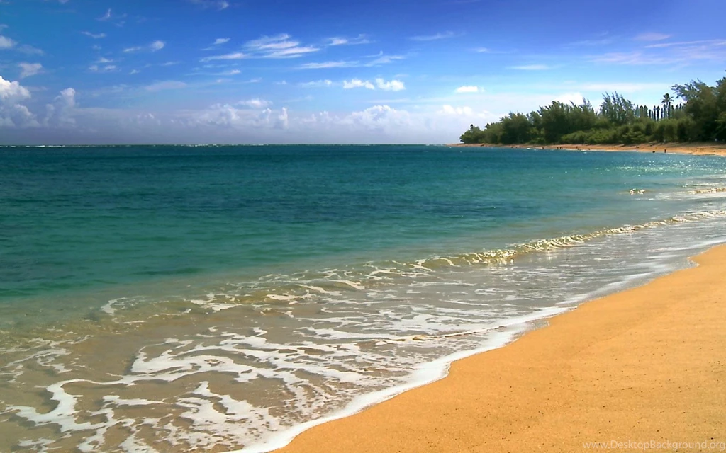 Wallpapers Hawaii Five Nature Beach Cities 1920x1200