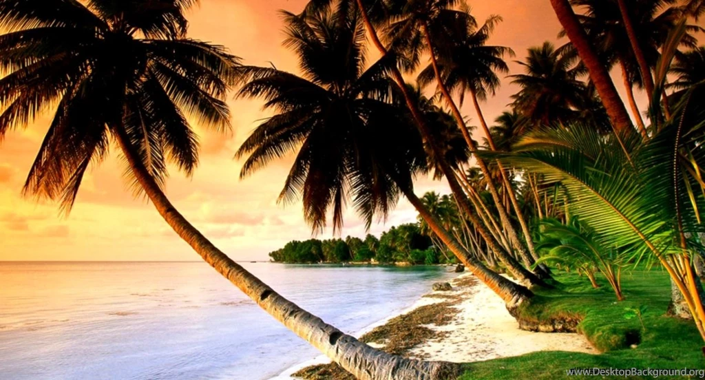 Nature Beach Wallpapers Hd