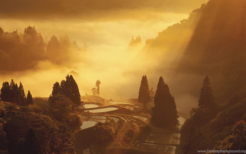 Fog, Windows, Wallpapers, Landscape, Yamakoshi, Japan, Prefecture ...