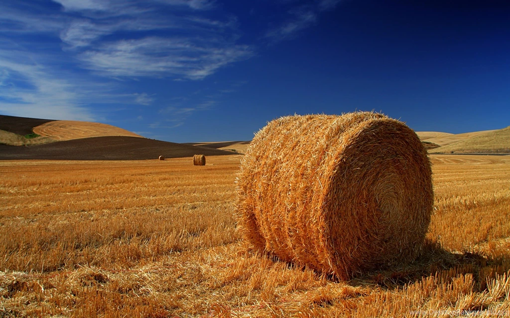 Landscape, Wallpaper, Native, High, Definition, Widescreen ...