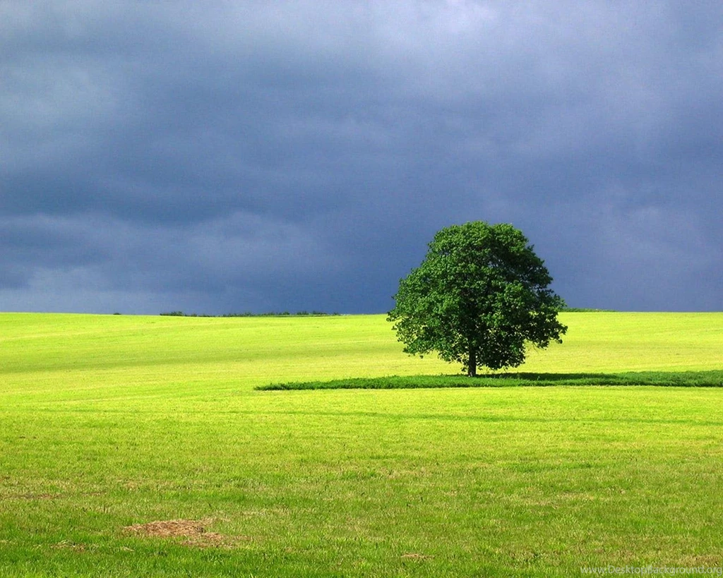 Wallpapers Landscape Tree Windows Scenery 1280x1024