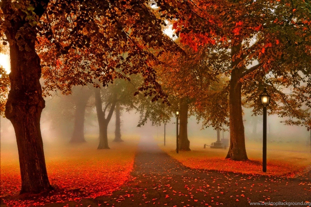 Sunset Nature Park Autumn Lantern Free Backgrounds >> HD Wallpapers ...