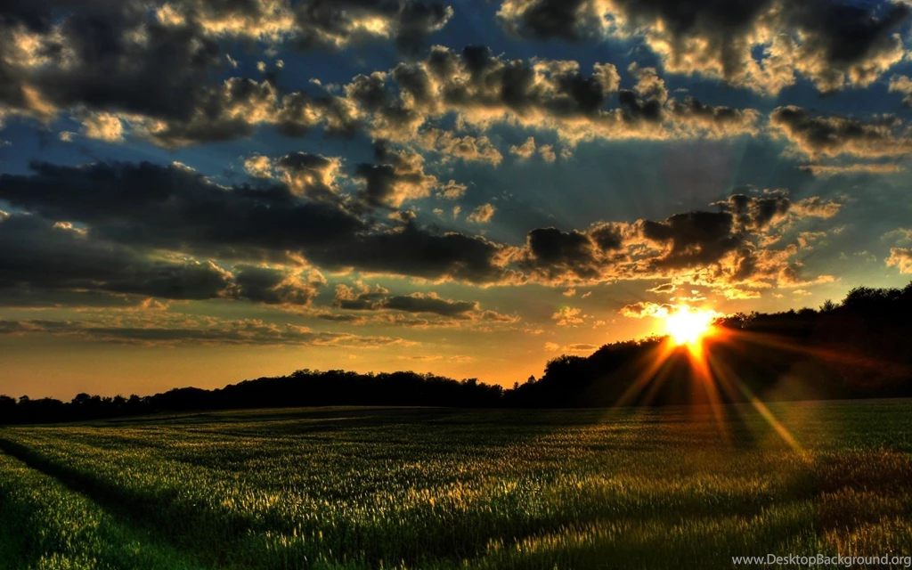 Morning Nature Spring Wallpapers