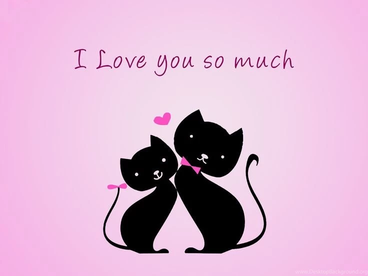 Kissing Cat Love Wallpapers Of Whatsapp Kissing Cat Love Wallpapers ...