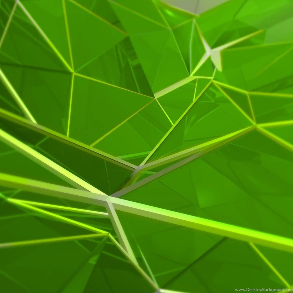 Spider Green Acer Iconia Tab A100 Wallpapers