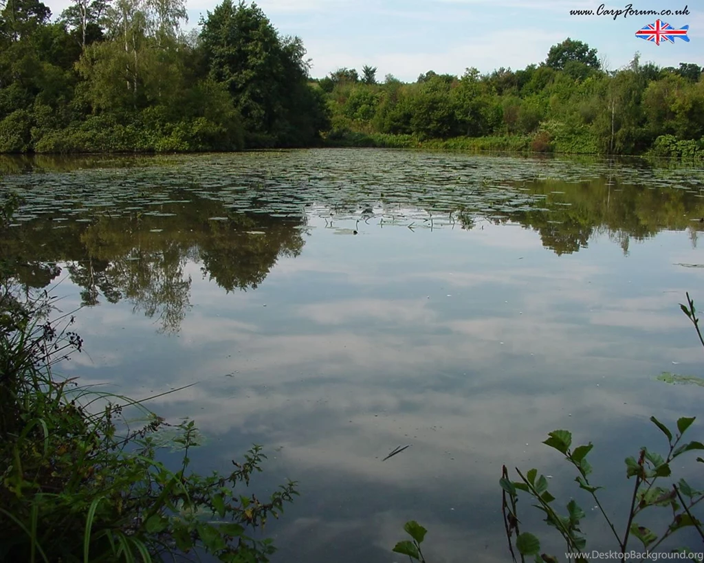 CarpForum The UK Carp Fishing Forum. Information, Chat And ...